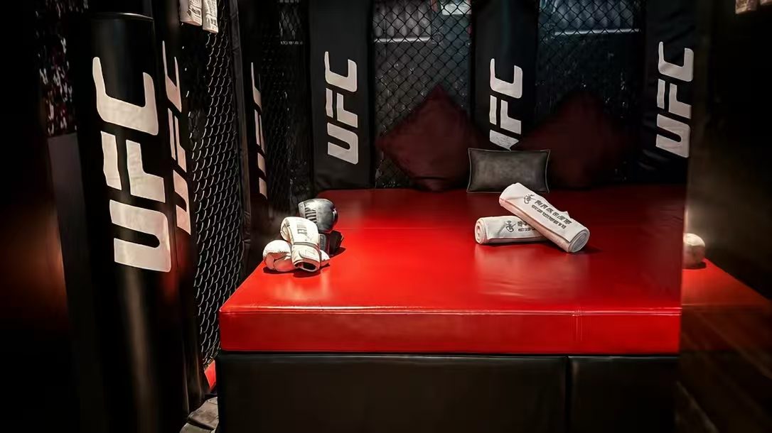 UFC 拳擊主題房。